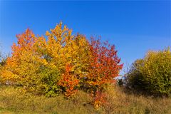 Herbstfeuer