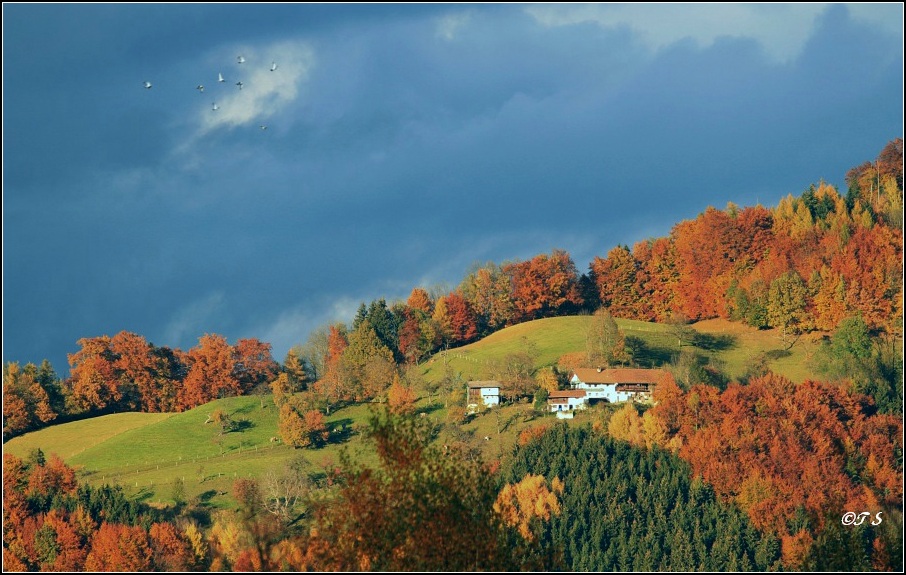 Herbstfeuer