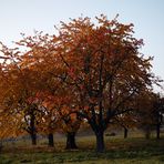 Herbstfeuer