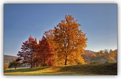 Herbstfeuer