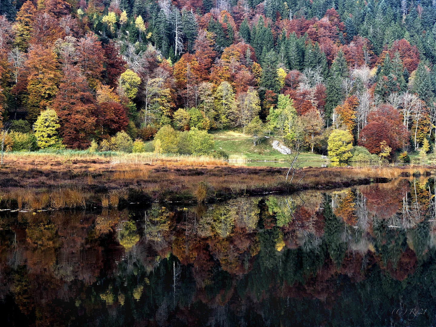 herbstfeuer 