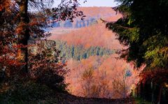 Herbstfeuer im Westerwald