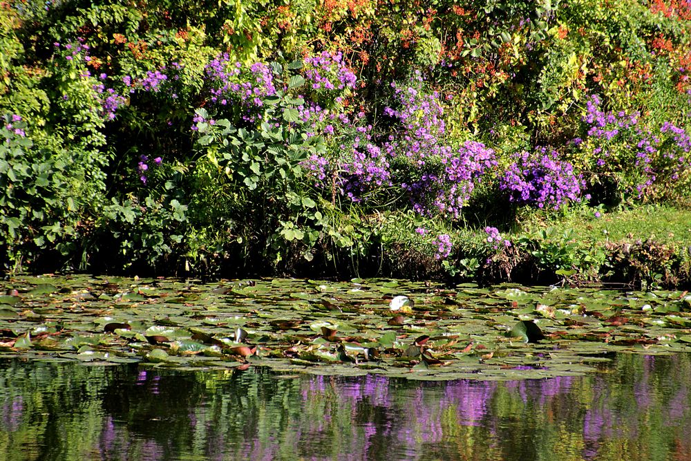 Herbstfeuer im Wörlitzer Gartenreich