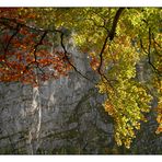 Herbstfeuer vor kühlem Fels