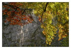 Herbstfeuer vor kühlem Fels