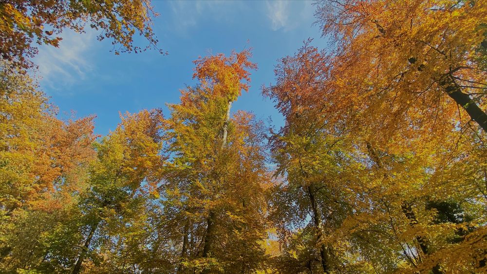 Herbstfeuerwerk