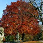 Herbstfeuerwerk