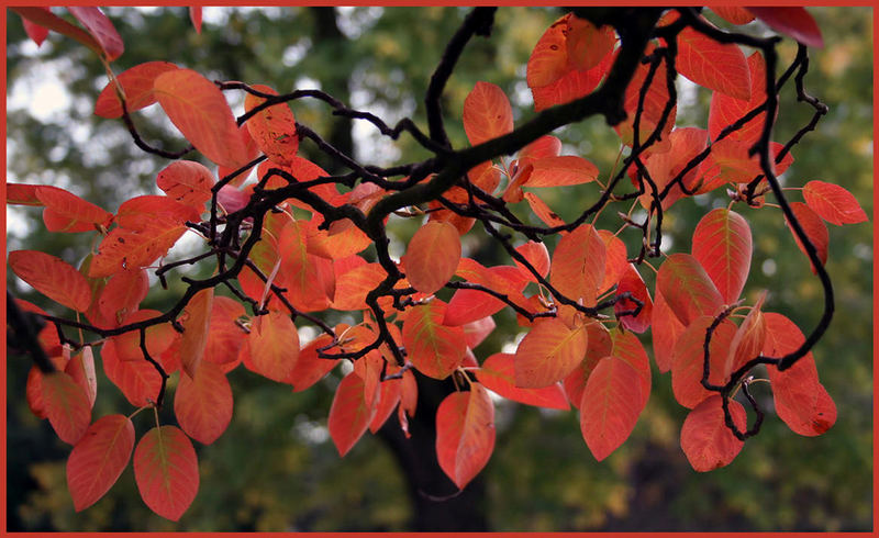 Herbstfeuerwerk