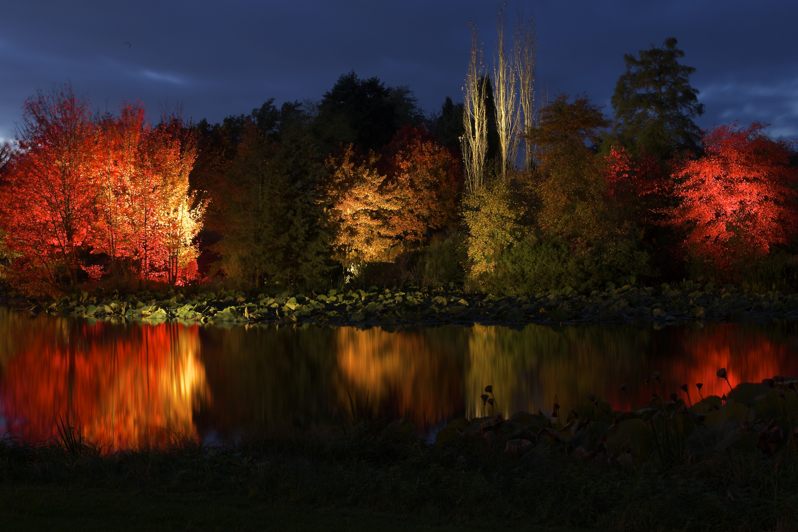 HerbstFinale