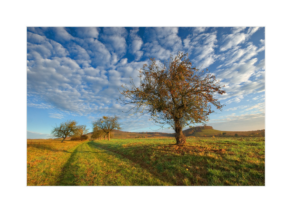 Herbstfinale