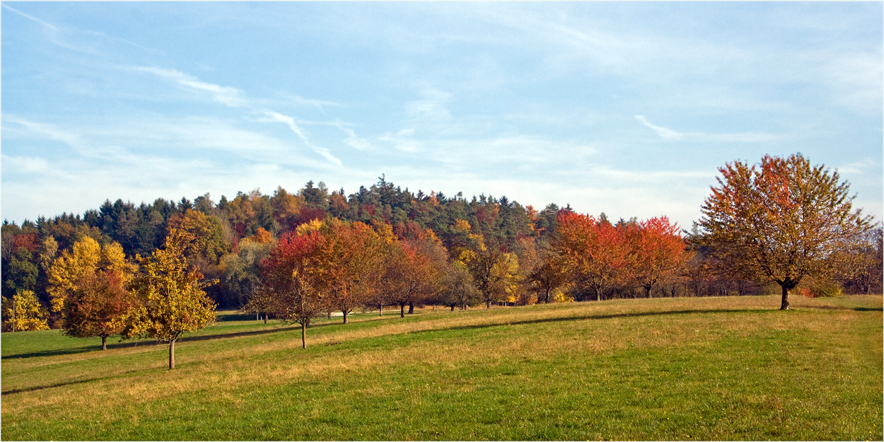 Herbstfinale