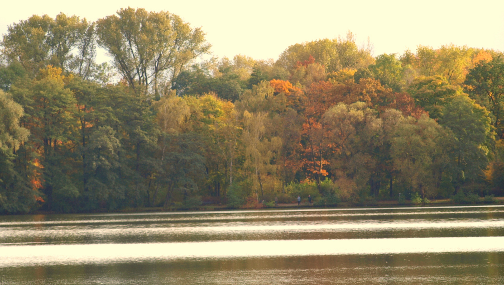 Herbstflair am Schwanenteich