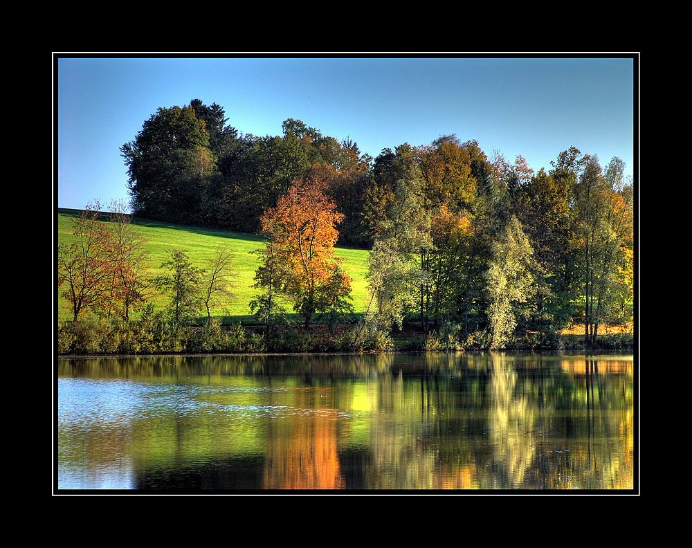 Herbstflimmern