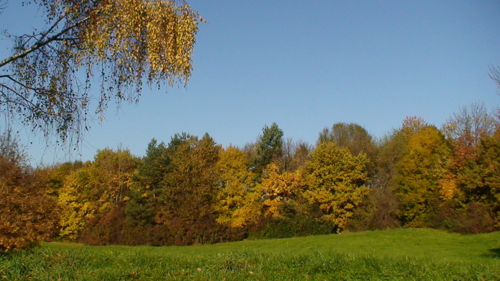 Herbstfloor