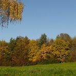 Herbstfloor