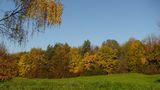 Herbstfloor von Eva Milder 