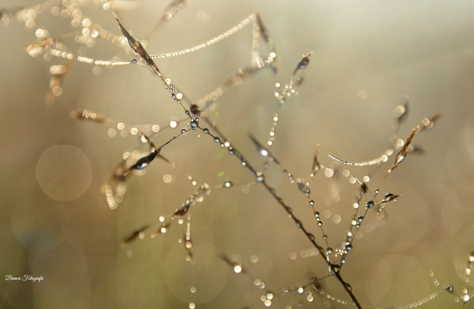 Herbstflüstern~