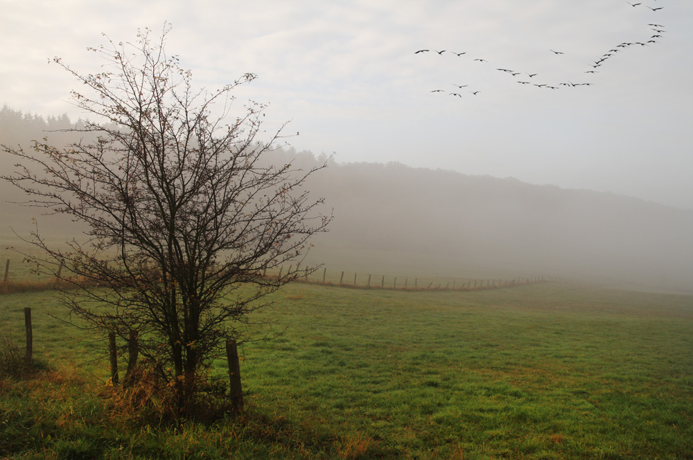 Herbstflug