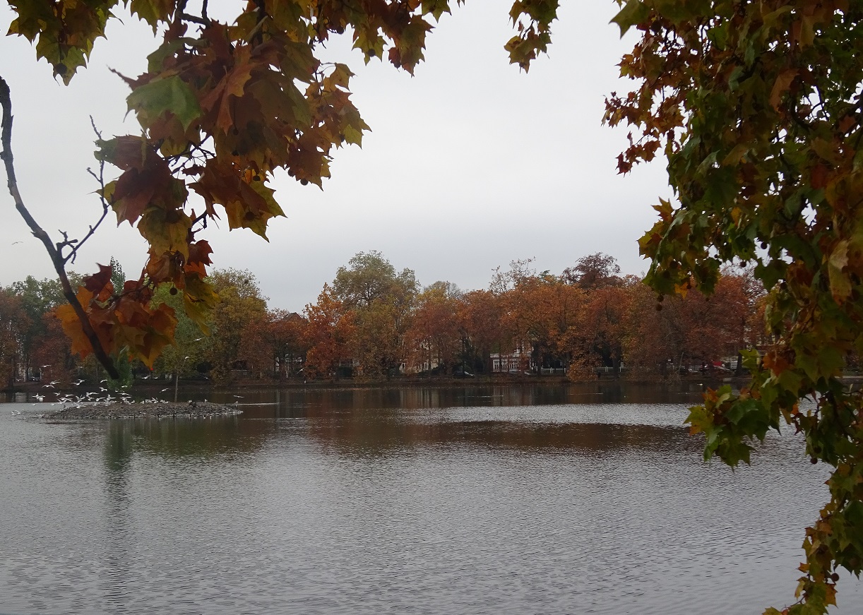 Herbstflug