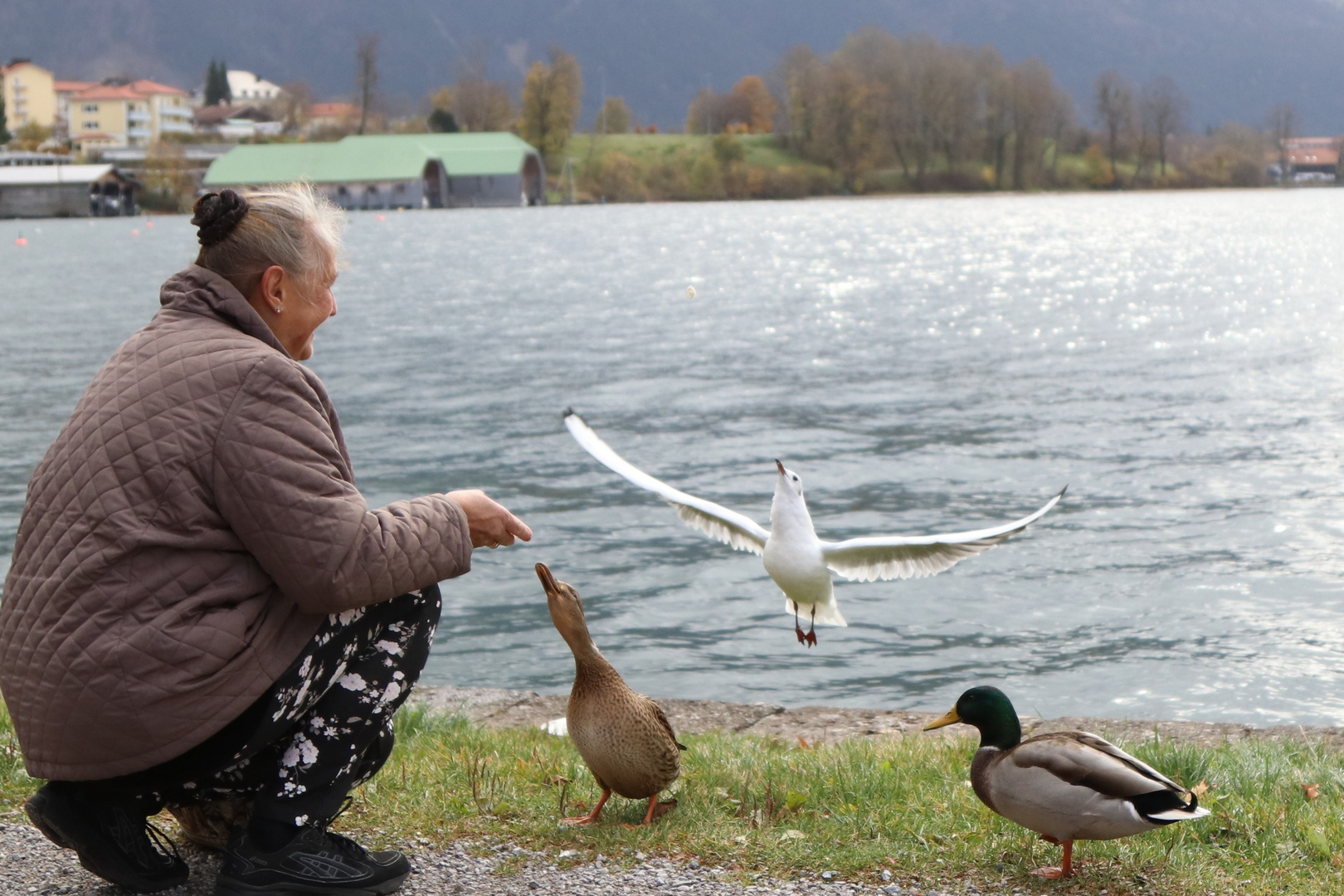 Herbstflug