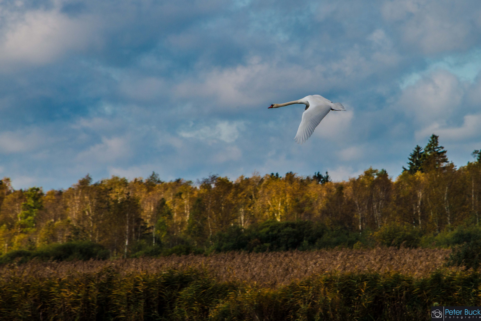 Herbstflug über den Federsee