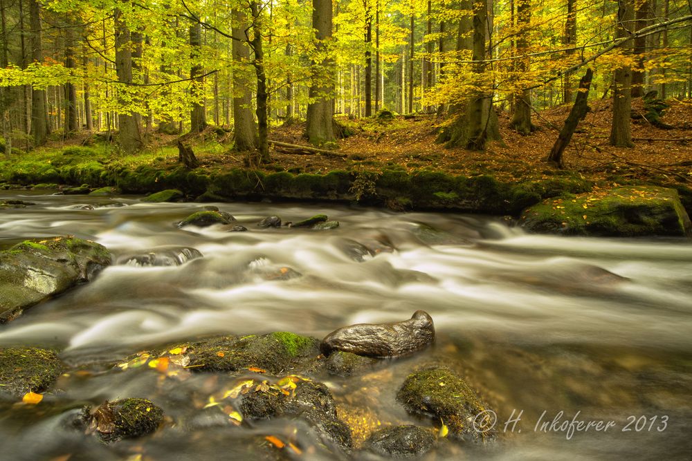 Herbstfluß