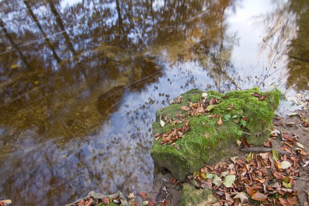 Herbstfluss