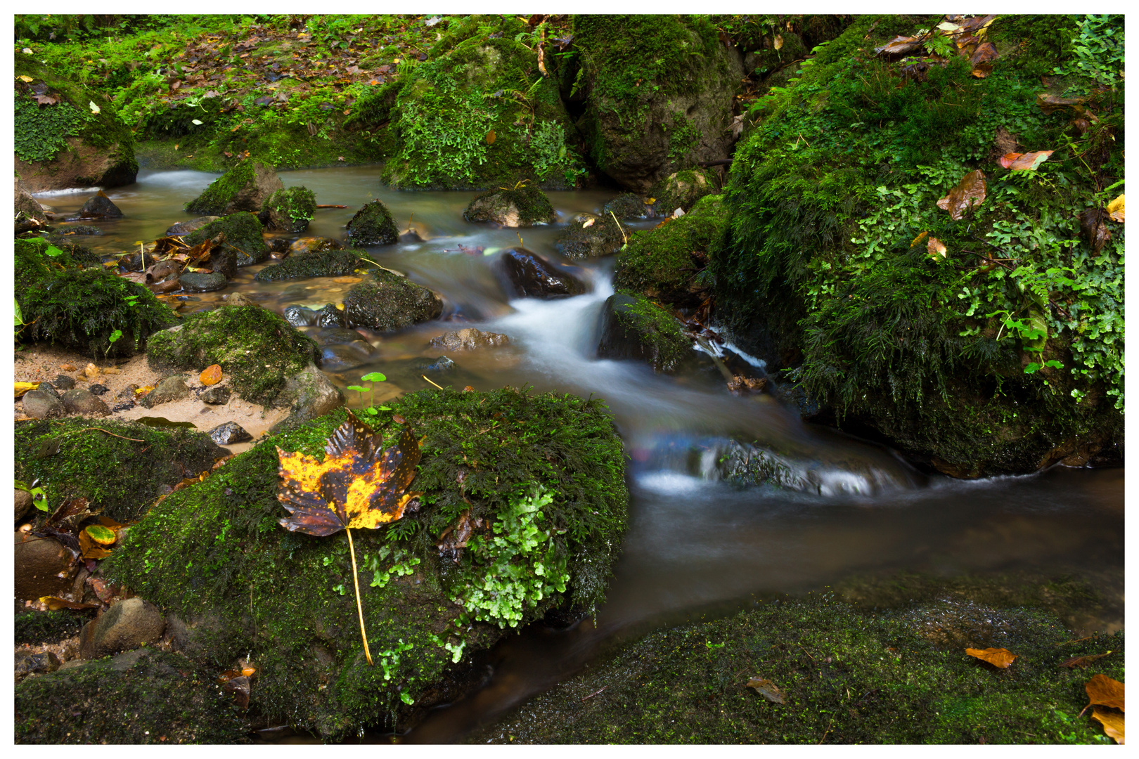 Herbstfluss