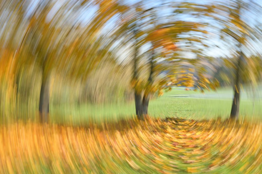 Herbstfocus