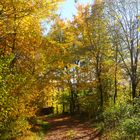 Herbstfotoausflug am Schloßberg bei Heideck