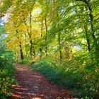 Herbstfotoausflug am Schloßberg bei Heideck