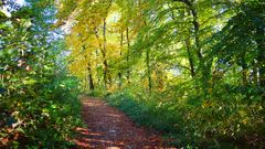 Herbstfotoausflug am Schloßberg bei Heideck