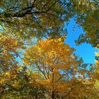 Herbstfotoausflug am Schloßberg bei Heideck