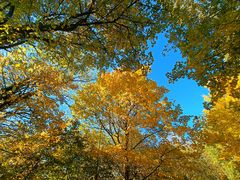 Herbstfotoausflug am Schloßberg bei Heideck