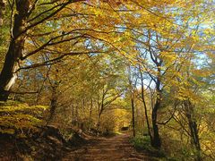 Herbstfotoausflug am Schloßberg bei Heideck