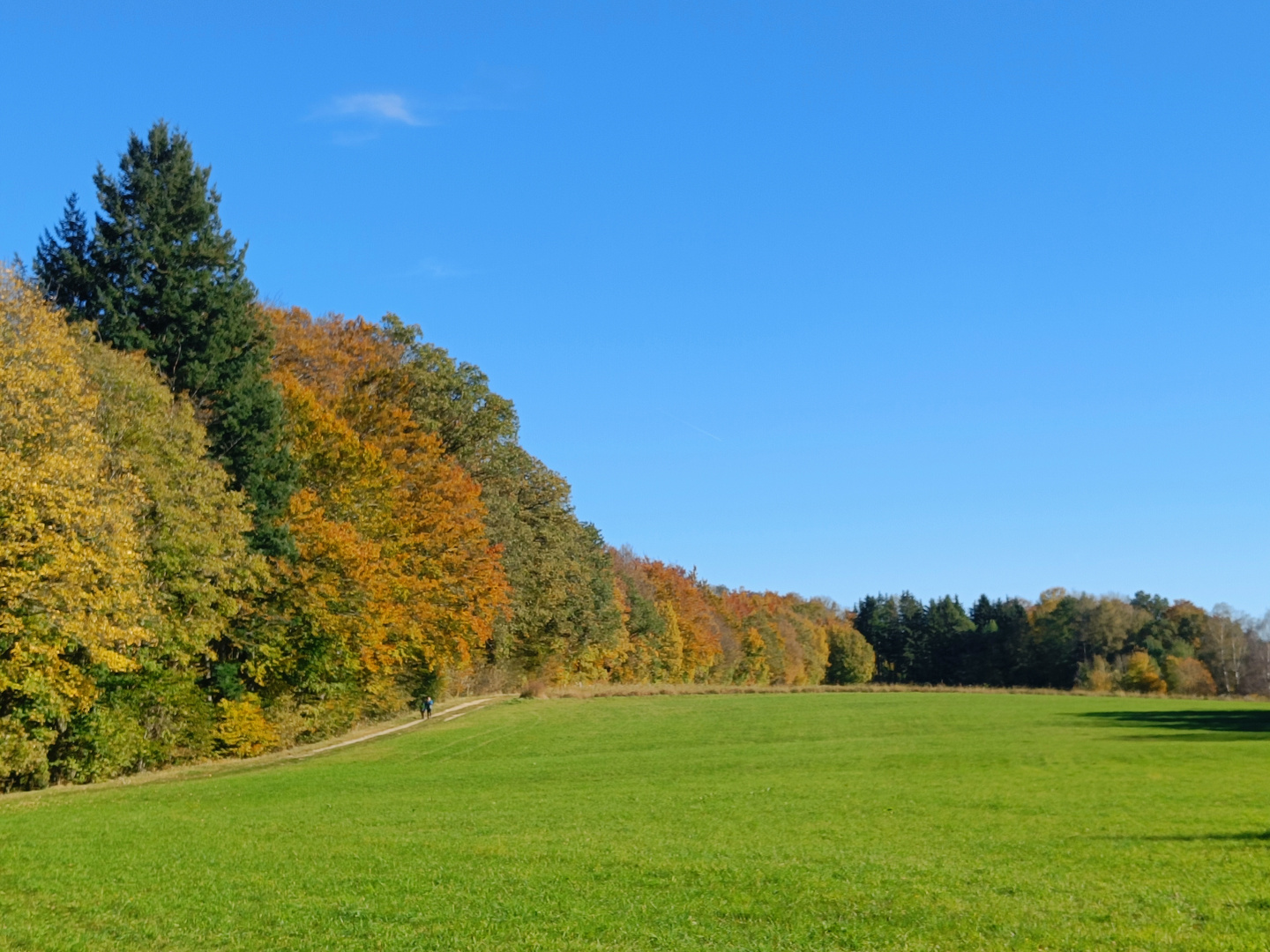 Herbstfotoausflug am Schloßberg bei Heideck