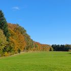 Herbstfotoausflug am Schloßberg bei Heideck