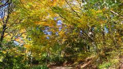 Herbstfotoausflug am Schloßberg bei Heideck