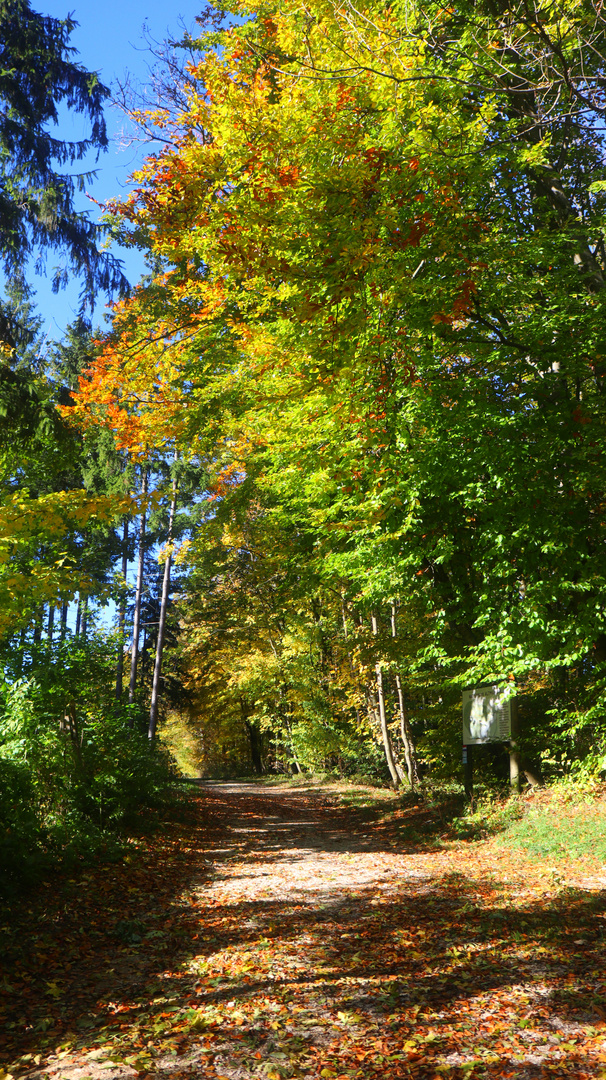 Herbstfotoausflug am Schloßberg bei Heideck