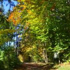 Herbstfotoausflug am Schloßberg bei Heideck