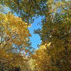 Herbstfotoausflug am Schloßberg bei Heideck