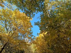 Herbstfotoausflug am Schloßberg bei Heideck