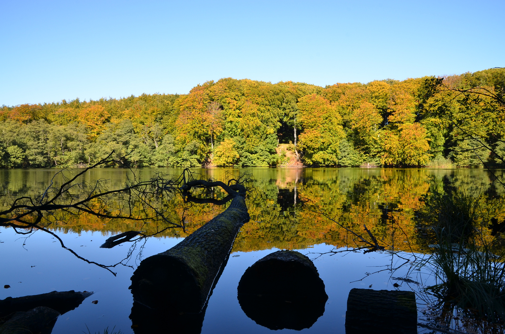 Herbstfreude