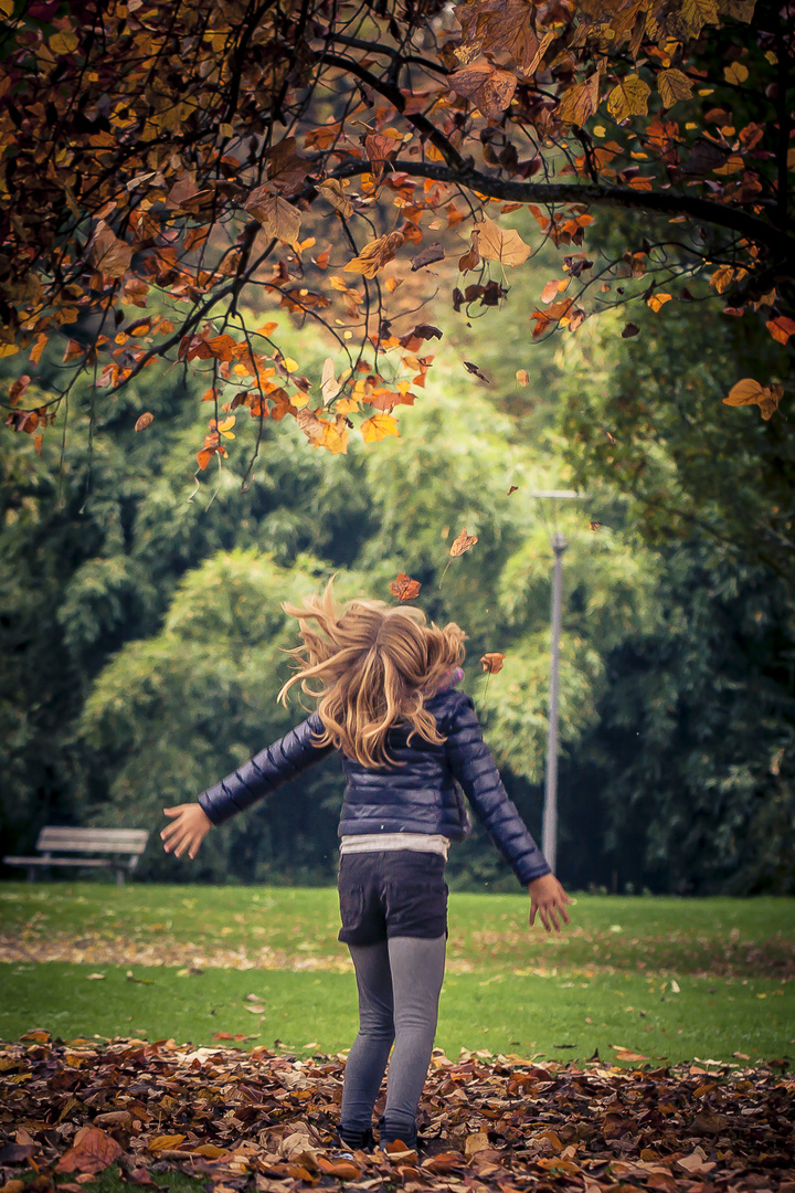 Herbstfreude