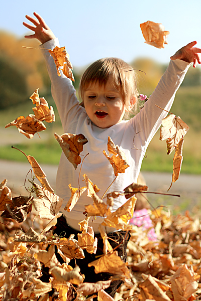 Herbstfreude