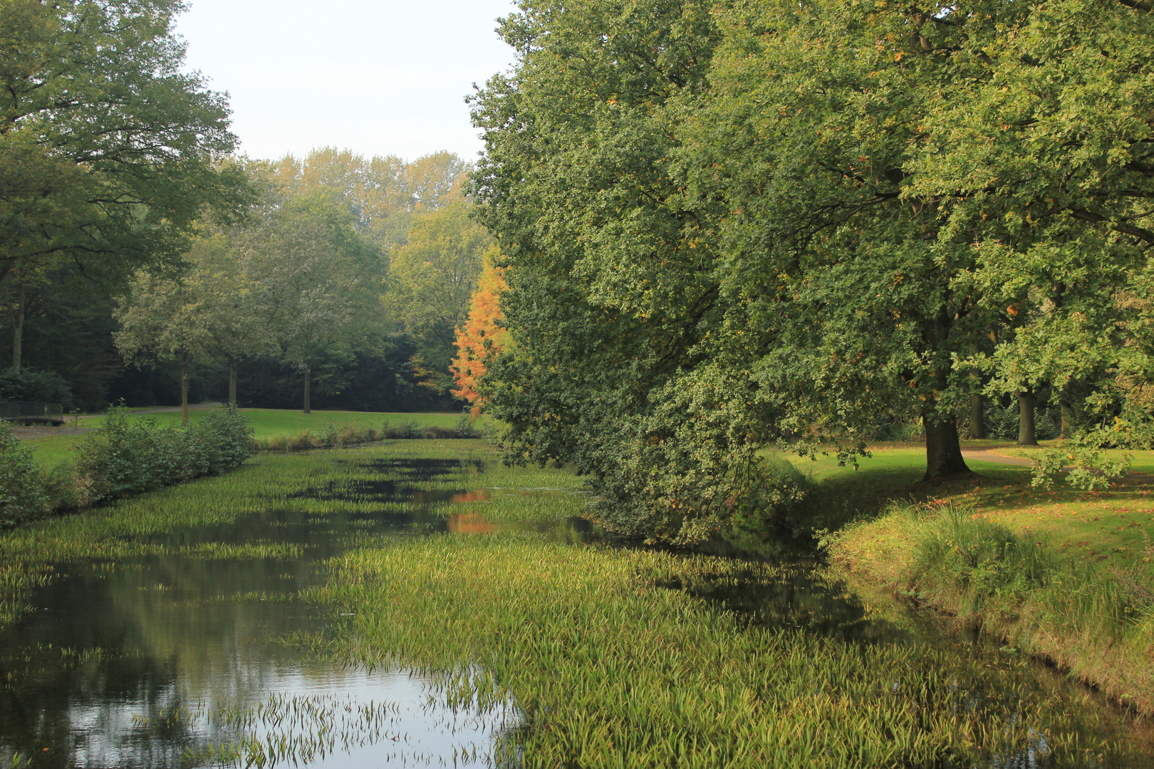 Herbstfreude