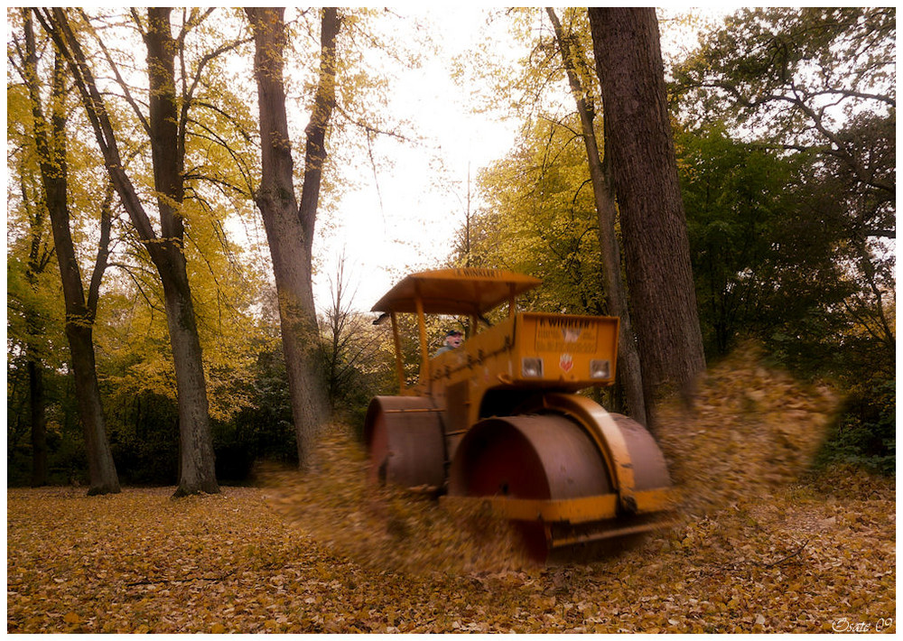 Herbstfreuden