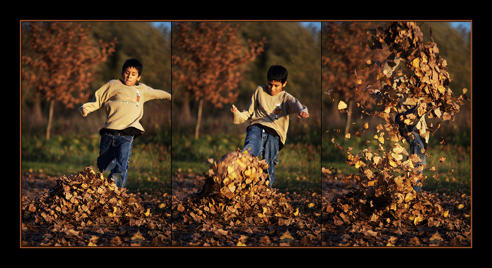 Herbstfreuden