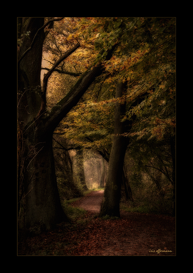 Herbstfreuden