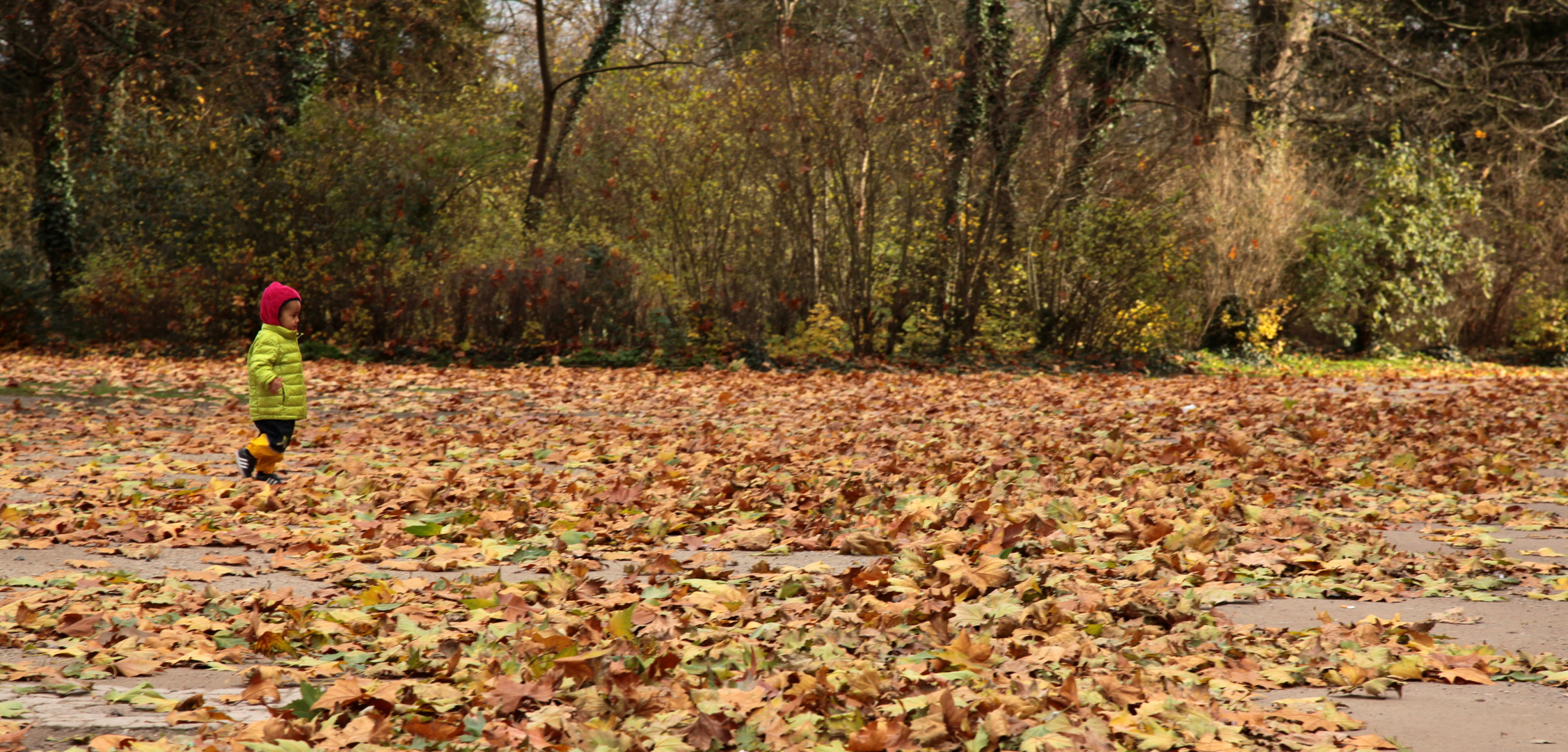 Herbstfreuden